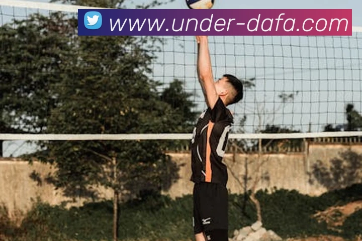 大发官网发展历程